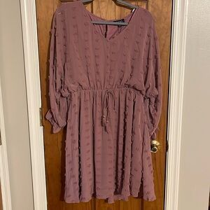 NWT Swiss Dot dress